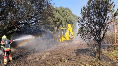 G&ouml;me&ccedil;&rsquo;te arazi yangını kontrol altına alındı