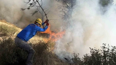 G&ouml;me&ccedil;&rsquo;teki yangında 52. saat: Alevlerin ilerlememesi i&ccedil;in adeta etten duvar &ouml;r&uuml;ld&uuml;
