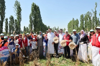 G&ouml;n&uuml;ll&uuml; Hasatla Gen&ccedil;ler Tarıma El Veriyor
