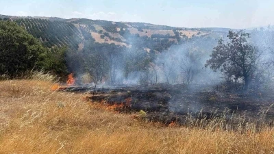 G&ouml;rdes&rsquo;te tarım arazisinden ormana sı&ccedil;rayan yangın kontrol altında