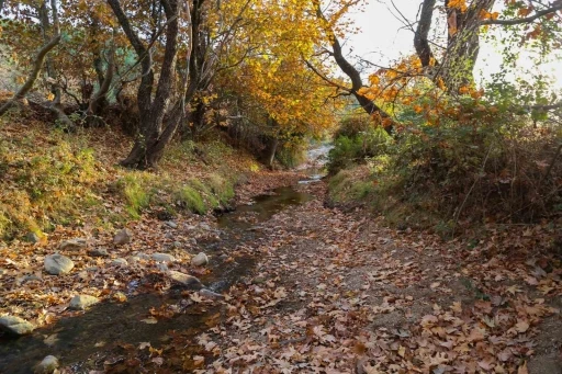 G&ouml;rdes&rsquo;ten kartpostallık sonbahar g&ouml;r&uuml;nt&uuml;leri
