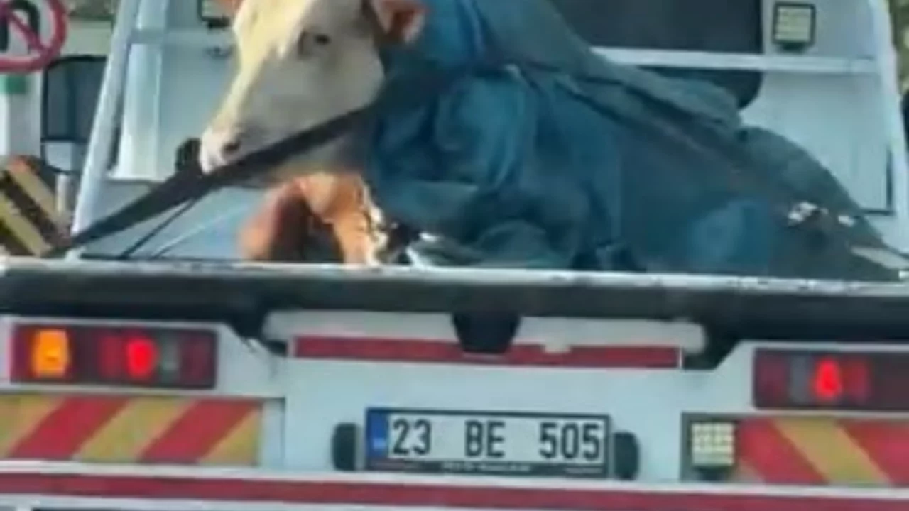 G&ouml;ren cep telefonuna sarıldı! 