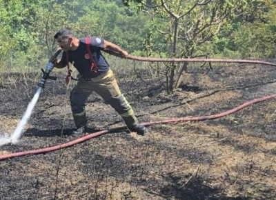 G&ouml;yn&uuml;kl&uuml;'de bah&ccedil;ede &ccedil;&ouml;p yaktı, 4 d&ouml;n&uuml;ml&uuml;k alanı k&uuml;le &ccedil;evirdi