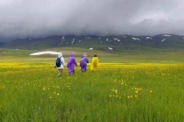 G&uuml;m&uuml;şhane dağları baharın renklerine b&uuml;r&uuml;nd&uuml;

