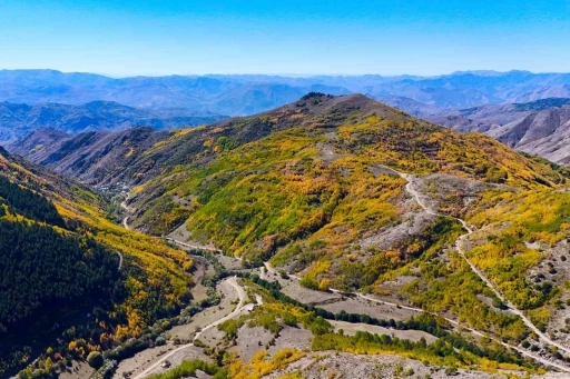G&uuml;m&uuml;şhane dağları sonbaharın b&uuml;y&uuml;leyici renkleriyle bezendi
