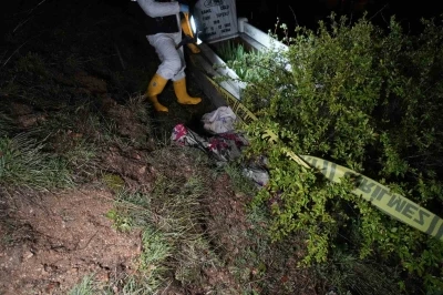 G&uuml;m&uuml;şhane&rsquo;de ayılar bu kez mezarlığa dadandı
