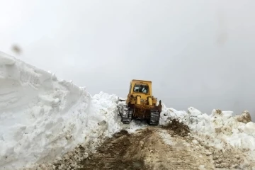 G&uuml;m&uuml;şhane&rsquo;de Mayıs ayı ile birlikte karla m&uuml;cadele &ccedil;alışmaları başladı
