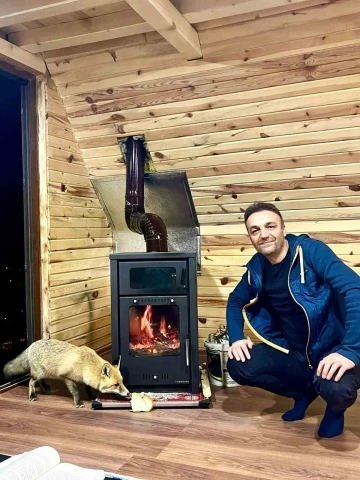 G&uuml;m&uuml;şhane&rsquo;de sıra dışı misafirlik
