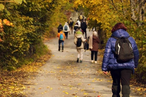 G&uuml;m&uuml;şhane&rsquo;de sonbahar t&uuml;m ihtişamıyla devam ediyor
