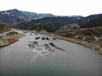 G&uuml;m&uuml;şhane&rsquo;nin karlı dağlarının arasından d&uuml;nyaya balık ihracatı
