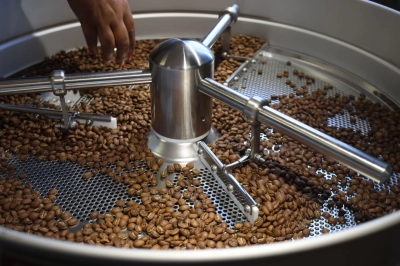 G&uuml;ney Afrika&rsquo;da Kahve &Uuml;retimi G&uuml;&ccedil;leniyor