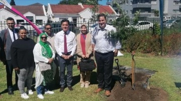 G&uuml;ney Afrika'da fırtınada devrilen asırlık 