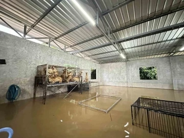 G&uuml;neydoğu Asya &uuml;lkelerinde şiddetli yağışlar nedeniyle 700&rsquo;den fazla kişi &ouml;ld&uuml;
