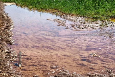 G&uuml;neydoğu&rsquo;da Su ve Enerji Kaynakları Alarm Veriyor!