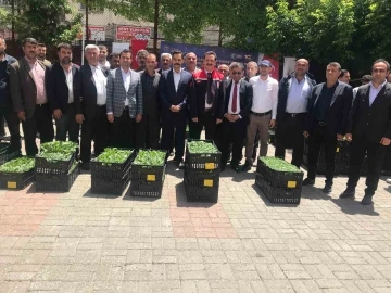 G&uuml;roymak&rsquo;ta y&uuml;zde 75 hibeli 21 bin fide dağıtıldı
