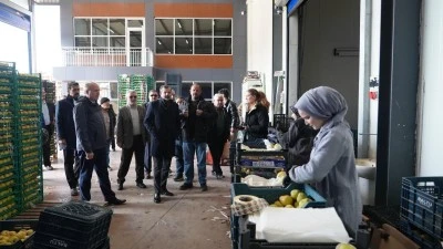 G&uuml;rsu Belediyesi'nden tarıma yeni destek