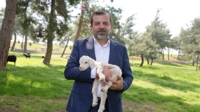 G&uuml;rsu Butik Hayvanat Bah&ccedil;esi yeni sakinlerini ağırlıyor