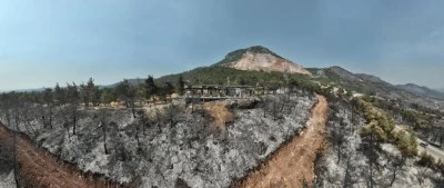 G&uuml;rsu'da ağa&ccedil;landırma seferberliği i&ccedil;in devlet hızla adım atacak