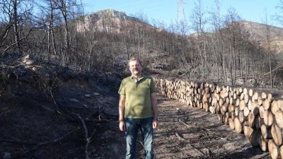 G&uuml;rsu&rsquo;da milli ağa&ccedil;landırma g&uuml;n&uuml;nde kampanya d&uuml;zenlenecek