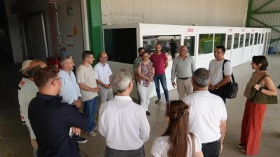 G&uuml;rsu'da yeşil d&ouml;n&uuml;ş&uuml;m başladı