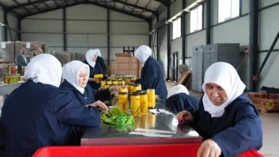 G&uuml;rsu Ovası'na kadın eli değdi