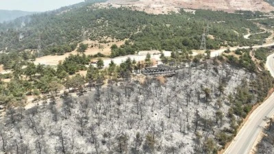 G&uuml;rsu yangını sonrası ortaya &ccedil;ıkan korkun&ccedil; manzara 