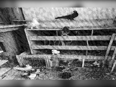 G&uuml;vercinlere haciz uygulandı