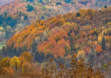 G&uuml;z g&uuml;zeli İneg&ouml;l