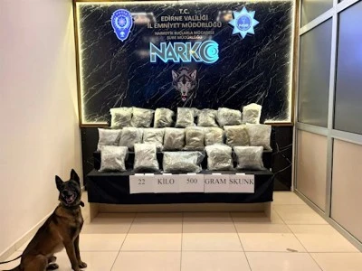 T&uuml;rkiye'ye giriş yapan TIR'da 22,5 kilo skunk ele ge&ccedil;irildi