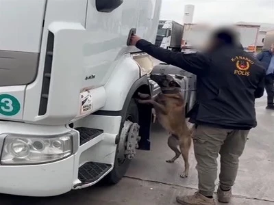 Yurt dışından gelen TIR'da kilolarca skunk ele ge&ccedil;irildi