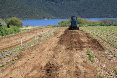 G&ouml;lbaşındaki mahsulleri d&uuml;zleyen DSİ'den &ccedil;ifte standart&nbsp;&nbsp;