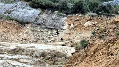 Isparta'da dağda mahsur kalan 2 &ccedil;ocuk kurtarıldı