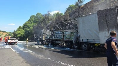Bursa'da motor yağı y&uuml;kl&uuml; TIR alev alev yandı, ormana sı&ccedil;rayan yangın g&uuml;&ccedil;l&uuml;kle s&ouml;nd&uuml;r&uuml;ld&uuml;