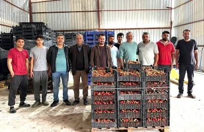 &nbsp;Tarla ile marketteki farka &uuml;retici bile inanamıyor