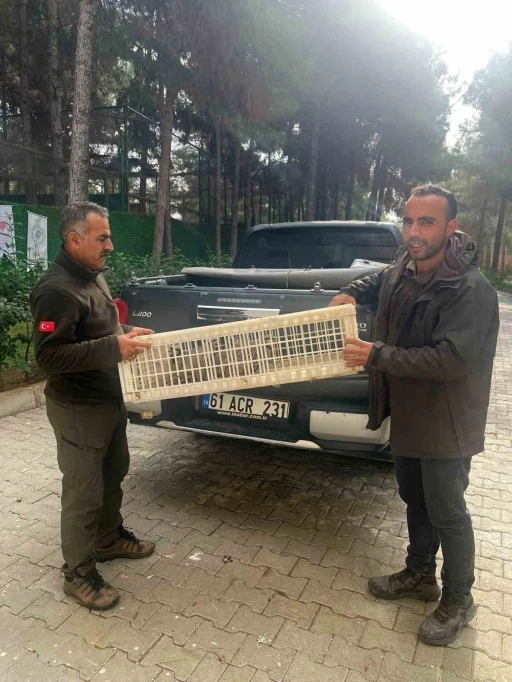 Habur Sınır Kapısı&rsquo;nda 11 kınalı keklik ele ge&ccedil;irildi: 4 ş&uuml;pheliye 89 bin 261 TL ceza kesildi
