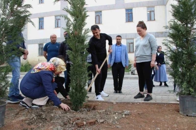 Hakkari&rsquo;de fidan dikimi
