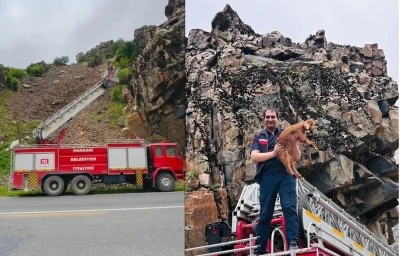 Hakkari&rsquo;de kayalıklarda mahsur kalan ke&ccedil;i yavrusu kurtarıldı
