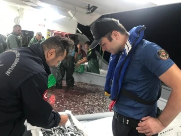 Hamsi avcılığına kota getirildi, gemi sahipleri i&ccedil;in son başvuru tarihi 6 Eyl&uuml;l
