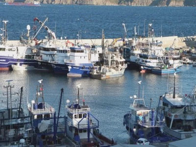 Hamsi, l&uuml;fer ve &ccedil;inekop bol olacak