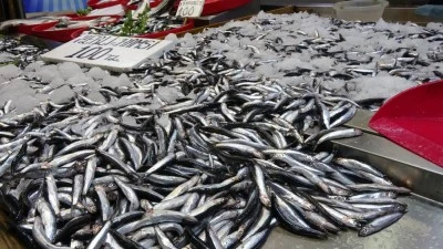 Hamside tehlike &ccedil;anları &ccedil;alıyor