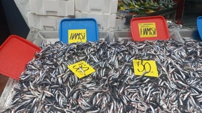 Hamsinin kilosu 50 liraya d&uuml;şt&uuml; vatandaşlar poşet poşet aldı