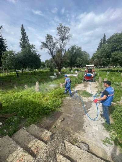 Hamzabali Mezarlığı bakıma alındı
