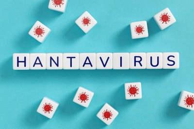Hantavir&uuml;s&uuml;n Pandemiye D&ouml;n&uuml;şme Riski Var Mı?