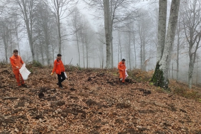 Harmancık&rsquo;ta Yanan Ormanlara Tohumlar Serpiliyor