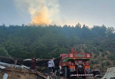 Hatay'da orman yangını s&ouml;nd&uuml;r&uuml;ld&uuml;