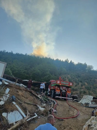 Hatay'da orman yangını