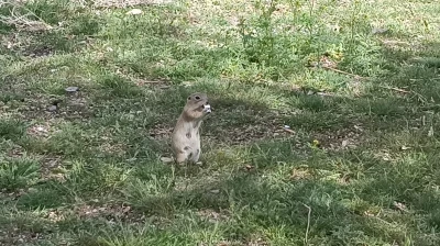 Havalar ısındı, gelengiler ortaya &ccedil;ıktı
