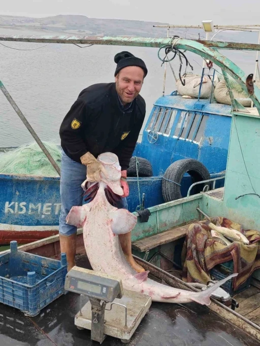 Havyarı 2 milyon liraya satılıyor: Tunceli&rsquo;de 42 kiloluk Sibirya Mersin balığı ağlara takıldı
