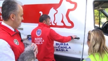 Bursa Haybulans ile 15 g&uuml;nde 164 can dosta m&uuml;dahale edildi