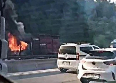 Hayvan y&uuml;kl&uuml; kamyon alevlere teslim oldu